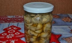 Quick pickled champignons