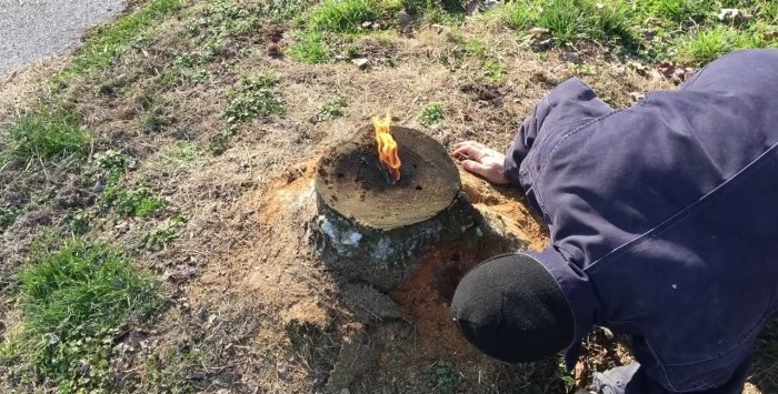 כיצד להסיר בקלות גדם מבלי לעקור