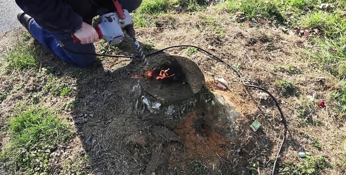 Sådan fjerner du nemt en stub uden at rykke op med rode