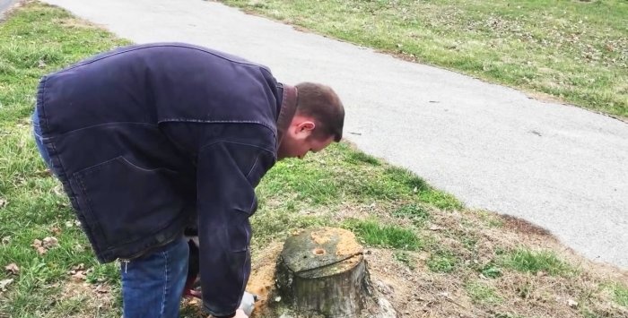 Sådan fjerner du nemt en stub uden at rykke op med rode