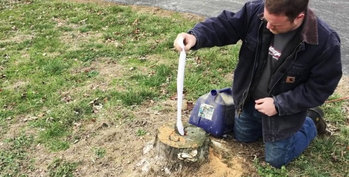 Jak snadno odstranit pahýl bez vytržení