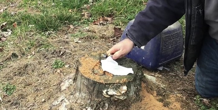 So entfernen Sie einen Baumstumpf ganz einfach, ohne ihn zu entwurzeln