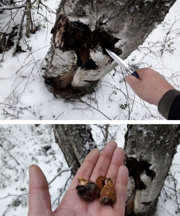 DIY taktické křesadlo