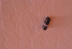 العثور على أجسام معدنية في الحائط بواسطة مغناطيس صغير