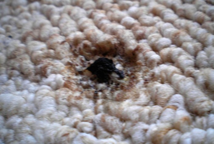 How to repair burnt carpet