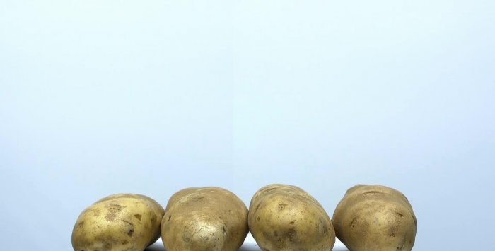 Extracting starch from potatoes