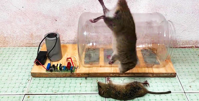 Cách làm bẫy chuột điện 12V