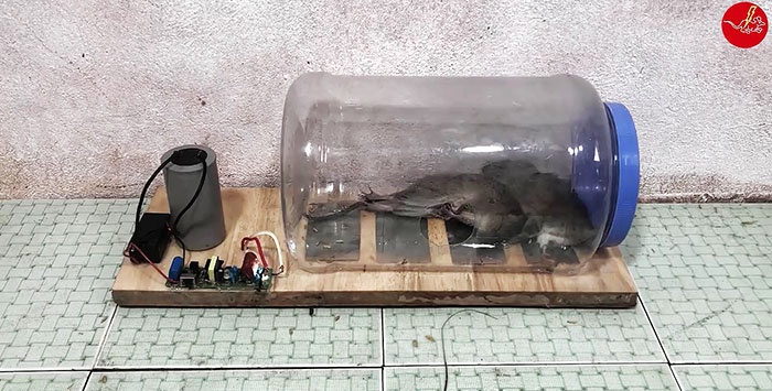 Cara membuat perangkap elektrik 12 volt untuk tikus dan tikus