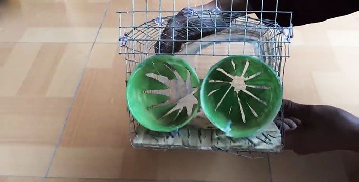 A simple trap for small rodents