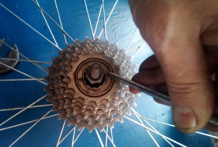 Tháo gỡ, bảo trì và lắp ráp trục sau và bánh cóc của bánh xe đạp