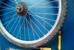 Démontage, entretien et montage du moyeu arrière et du cliquet d'une roue de vélo
