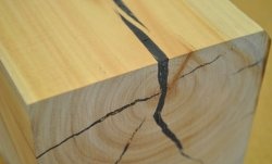 Repararea fisurilor din lemn