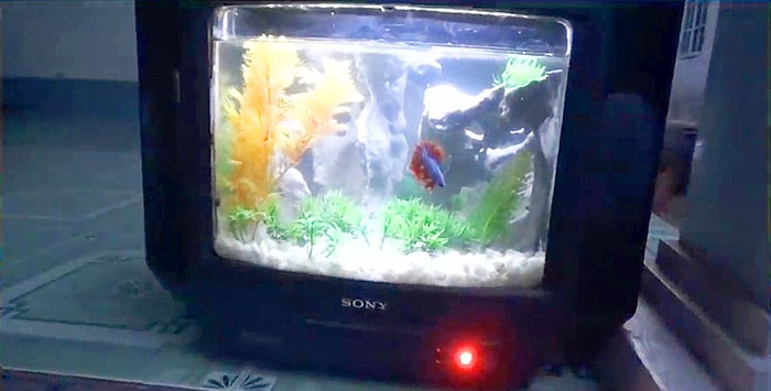 How to make an aquarium from an old TV