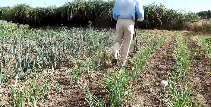 Een apparaat om snel een moestuin te wieden