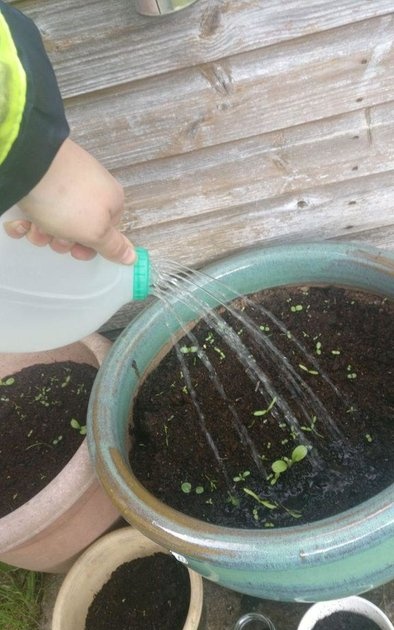 Hogyan készítsünk egy kannából 2 perc alatt teljes értékű kerti öntözőt