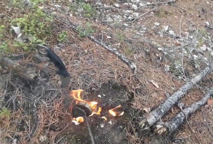 So schützen Sie sich ohne spezielle Ausrüstung vor Mücken im Wald