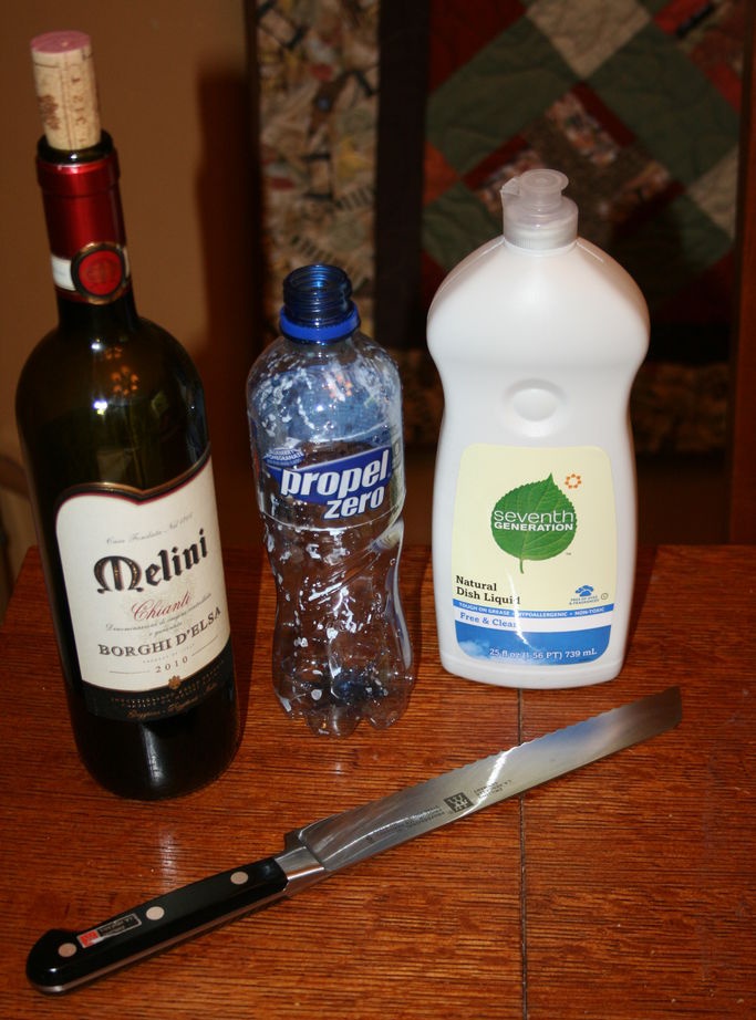 Plastik bir şişeden etkili bir eşekarısı tuzağı nasıl yapılır