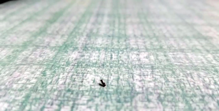 7 طرق فعالة للسيطرة على النمل