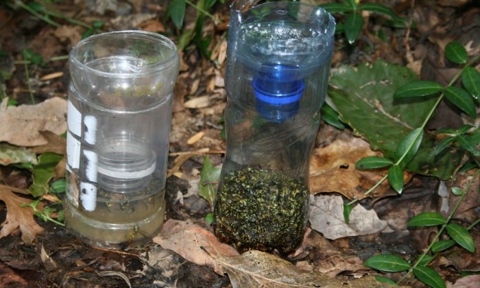 Como fazer uma armadilha eficaz para vespas com uma garrafa de plástico