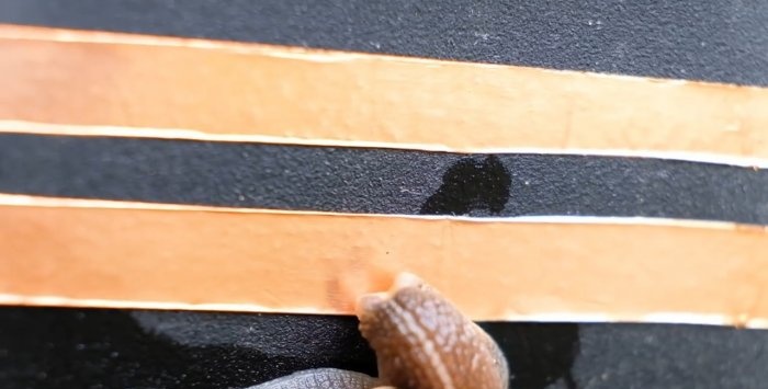 Pagprotekta sa mga seedlings mula sa mga snails gamit ang electric current