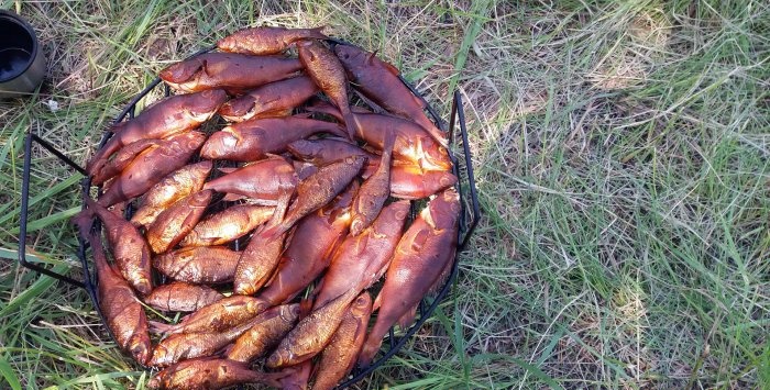 Fumar peixe enquanto pesca rapidamente é simplesmente delicioso Meu relatório