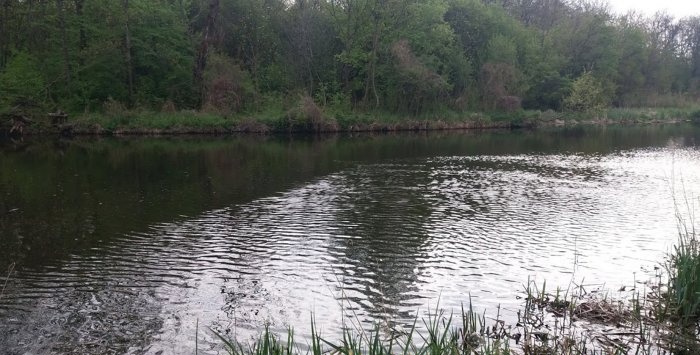 Menghisap ikan sambil memancing dengan cepat memang sedap Laporan saya