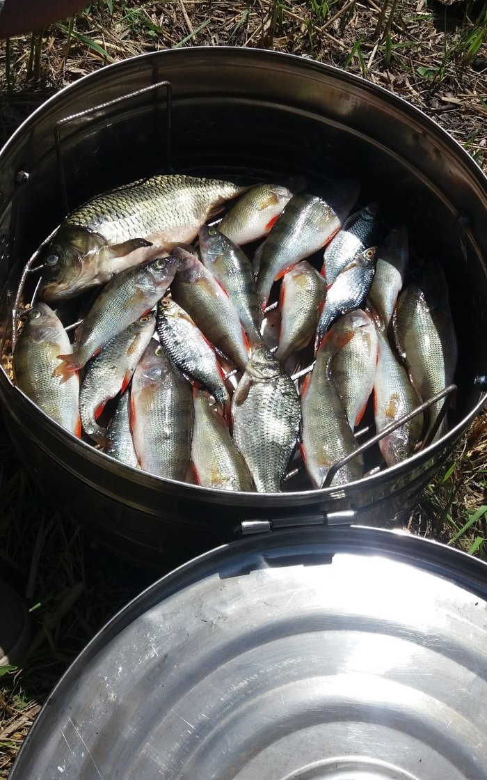 Menghisap ikan sambil memancing dengan cepat memang sedap Laporan saya