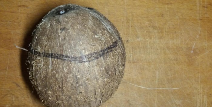 Hoe een kokosnoot te verslaan