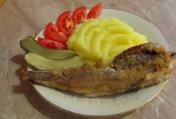 Fried whiting - fast, tasty, cheap