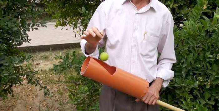 Egyszerű eszköz a magasból történő gyümölcsszedéshez PVC csőből
