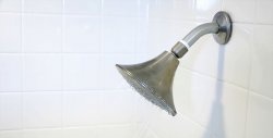Hogyan tisztítsa meg gyorsan és egyszerűen saját maga a zuhanyfejet
