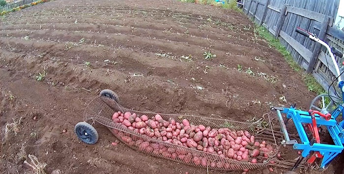 Arkasından yürünen bir patates kazıcı nasıl geliştirilir