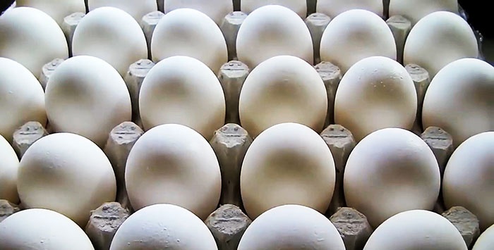 Jak gotować jajka, aby szybko i łatwo się obierały
