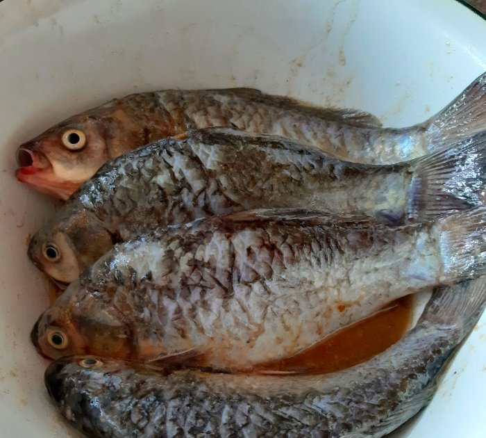 Кување рибе на ватри