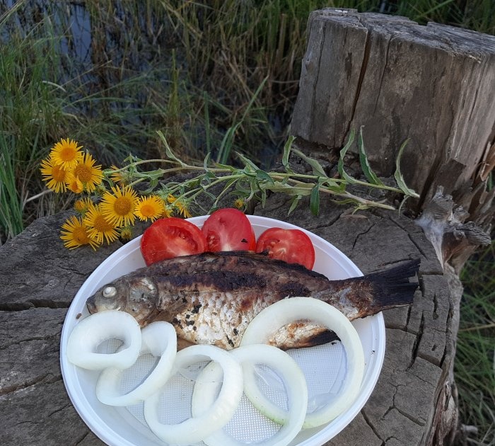 Nấu cá trên lửa