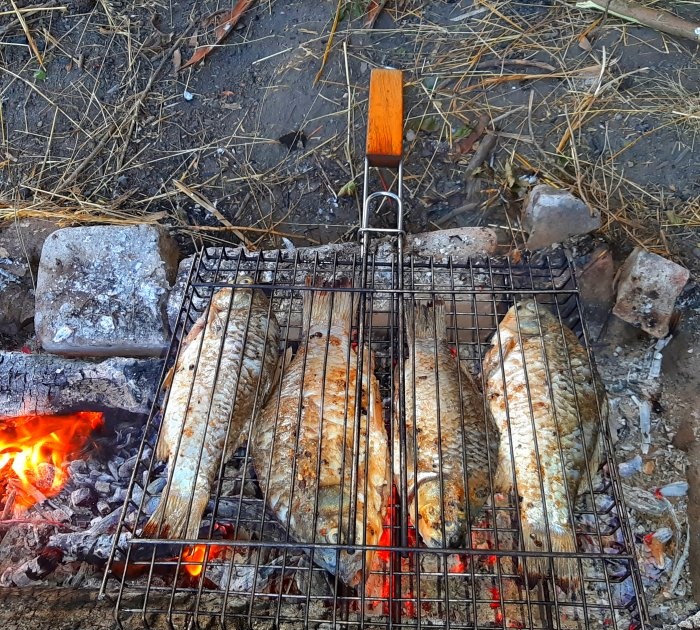 Laga fisk på en eld