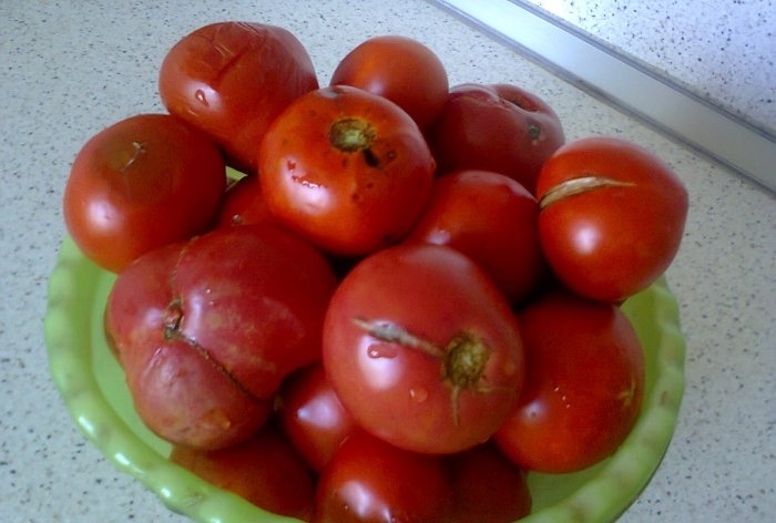 Způsob zmrazení rajčat