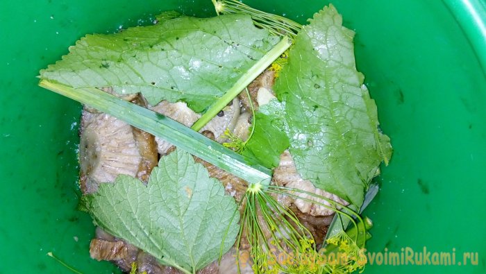 Acar cendawan susu langkah demi langkah resipi