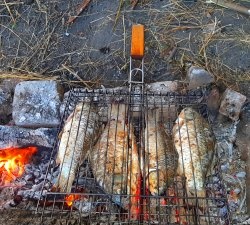 Cuire du poisson de rivière sur un feu - le carassin frit se lèche les doigts
