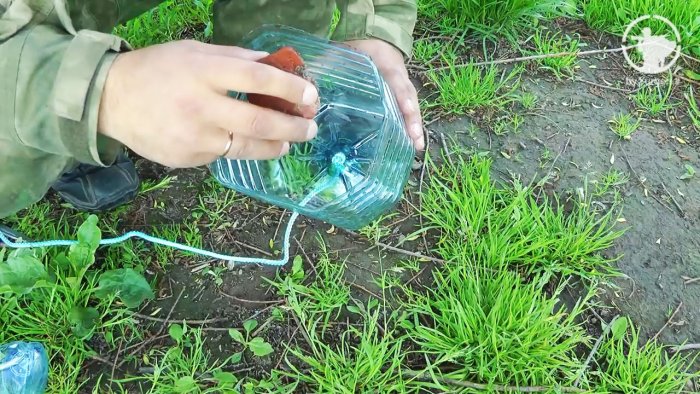 Cách bắt cá bằng chai nhựa