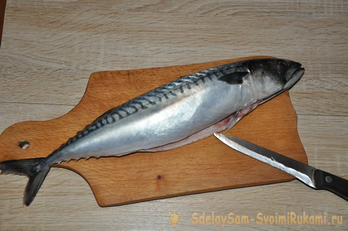 Lightly salted mackerel at home