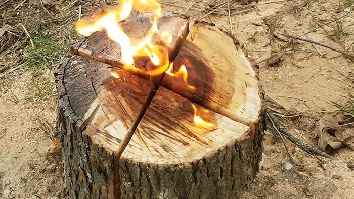 Jak tanio i skutecznie usunąć pień drzewa