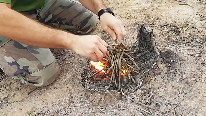 Cara membuang tunggul pokok dengan murah dan berkesan