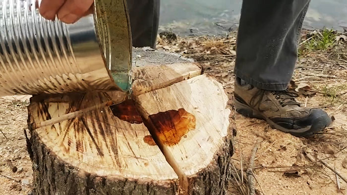Hoe u goedkoop en effectief een boomstronk verwijdert