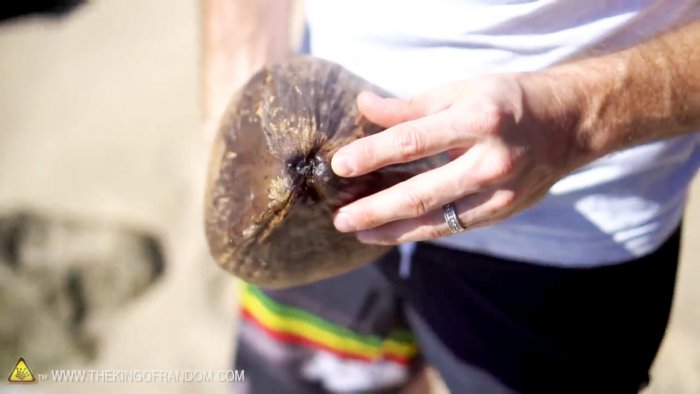 Hoe je een kokosnoot opent zonder gereedschap