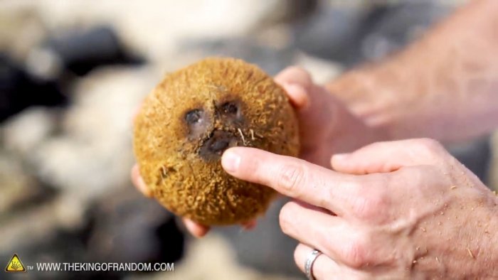 Come aprire una noce di cocco senza attrezzi