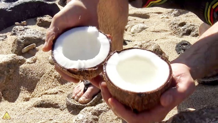 Hvordan åpne en kokosnøtt uten verktøy