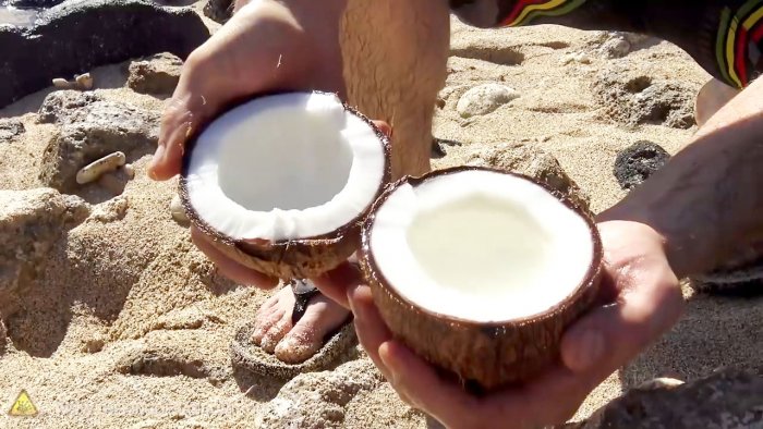 Como abrir um coco sem ferramentas