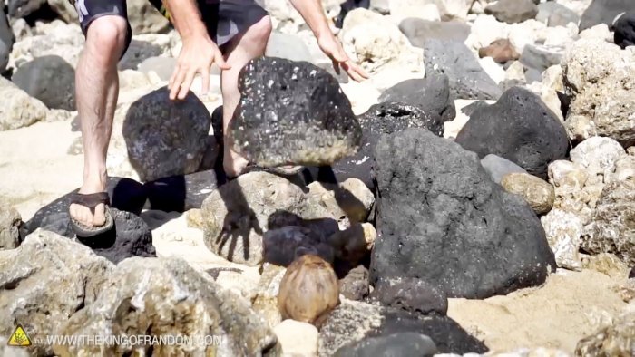 Come aprire una noce di cocco senza attrezzi