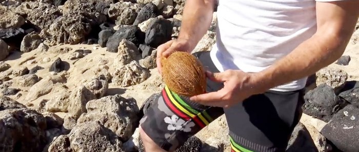 How to open a coconut without tools
